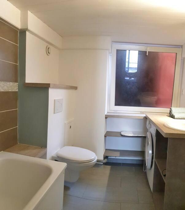 P'Tit Canut : Studio Tout Equipe Proche Centre Et Gare Lyon Ngoại thất bức ảnh