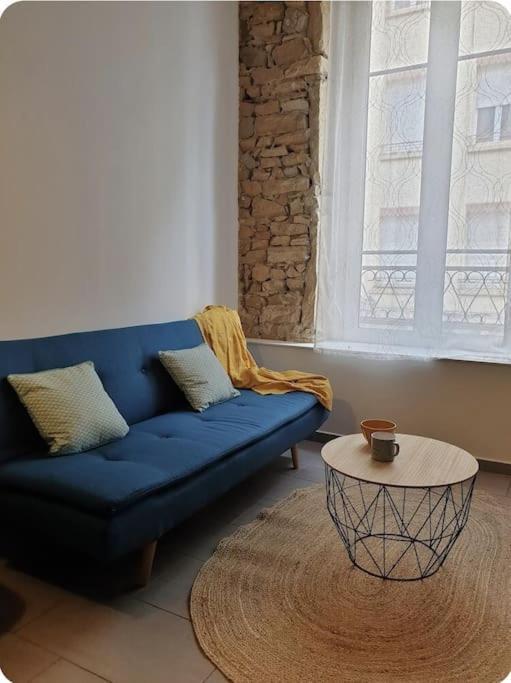P'Tit Canut : Studio Tout Equipe Proche Centre Et Gare Lyon Ngoại thất bức ảnh