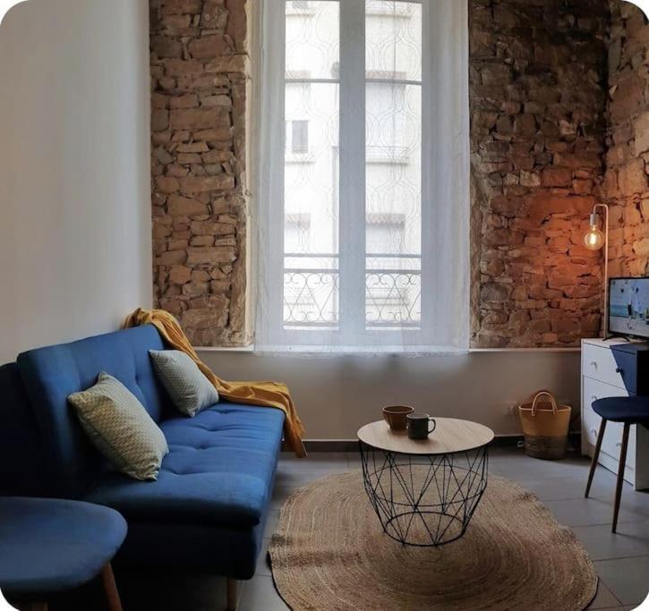 P'Tit Canut : Studio Tout Equipe Proche Centre Et Gare Lyon Ngoại thất bức ảnh