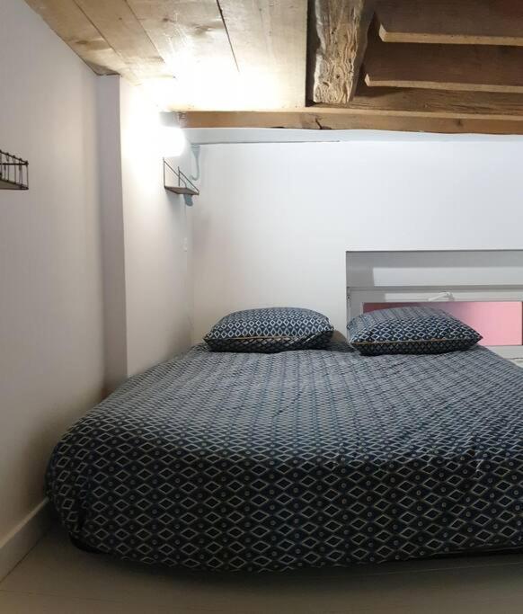 P'Tit Canut : Studio Tout Equipe Proche Centre Et Gare Lyon Ngoại thất bức ảnh